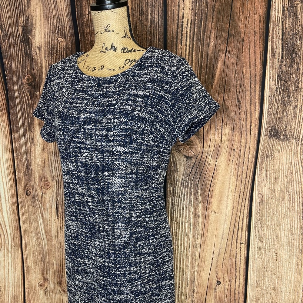 Banana Republic Blue and White Dress